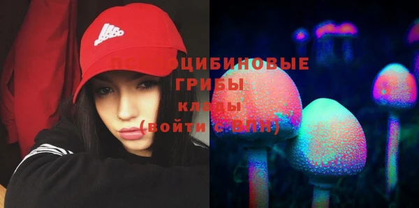 MESCALINE Баксан
