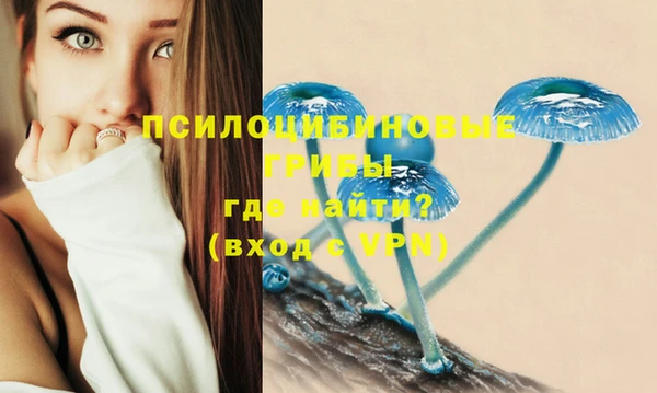MESCALINE Баксан